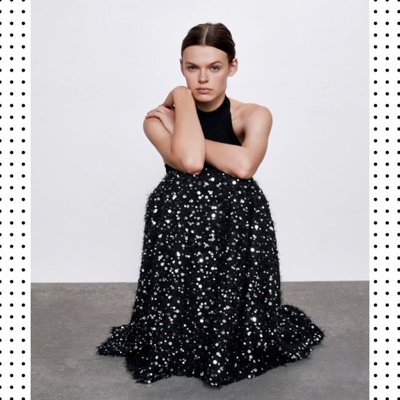 Zara Pearl and Sequin Maxi Skirt - Picture 2 of 6